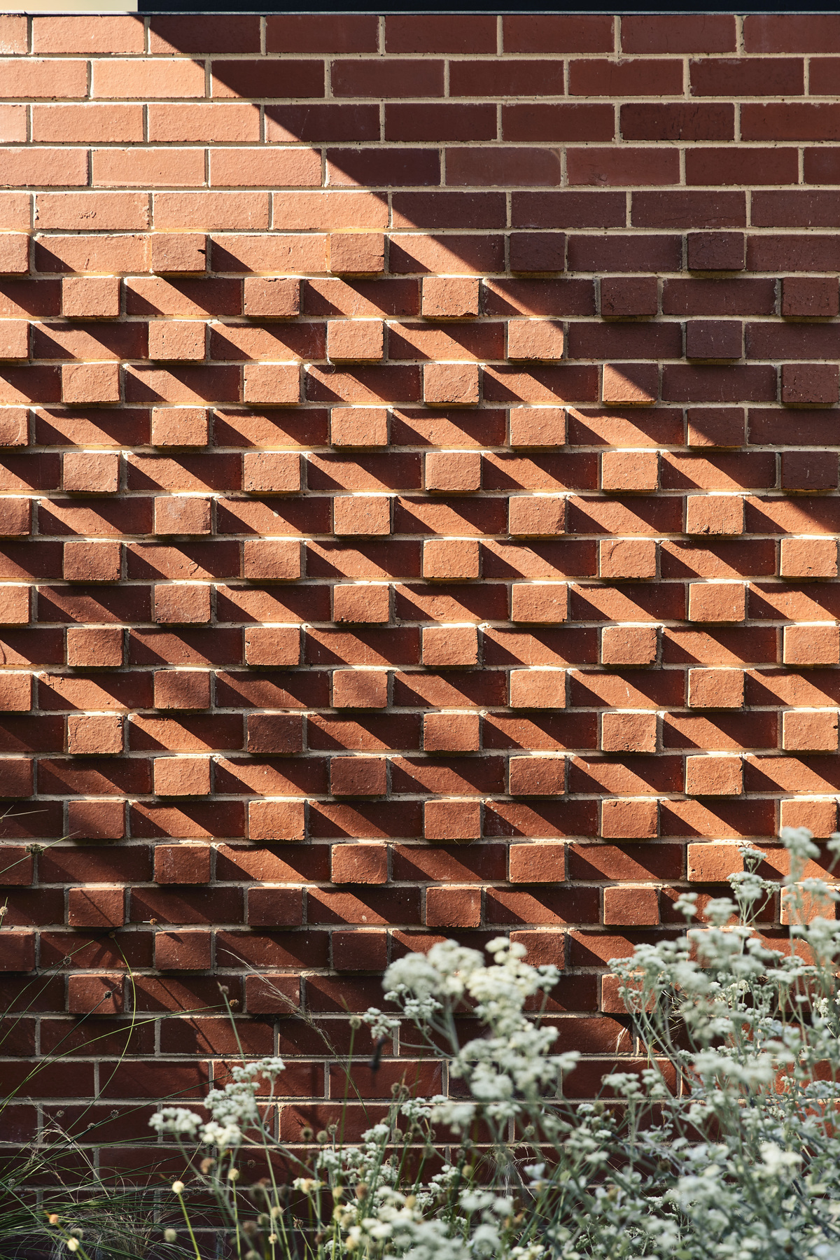 Frankston Mid Century Modern | Design: MRTN Architects | Images: Derek Swalwell | Builtworks.com.au