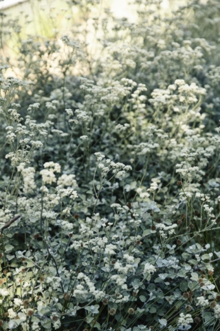 Frankston Mid Century Modern | Design: MRTN Architects | Images: Derek Swalwell Frankston Mid Century Modern | Design: MRTN Architects | Images: Derek Swalwell | Builtworks.com.au