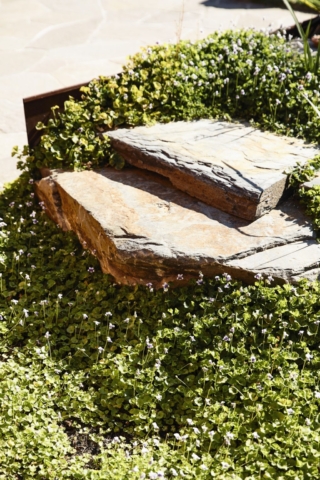 Frankston Mid Century Modern | Design: MRTN Architects | Images: Derek Swalwell Frankston Mid Century Modern | Design: MRTN Architects | Images: Derek Swalwell | Builtworks.com.au