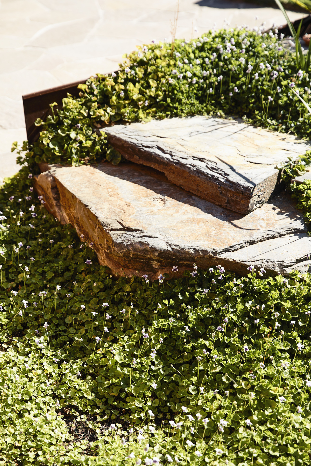 Frankston Mid Century Modern | Design: MRTN Architects | Images: Derek Swalwell | Builtworks.com.au