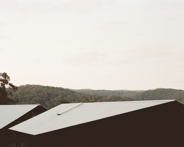 Two Sheds | Design: DREAMER (with Roger Nelson) | Image: Rory Gardiner | Builtworks.com.au