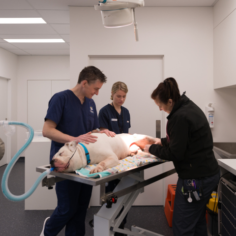 Wallan Veterinary Hospital | Design: Crosshatch | Image: Jaime Diaz-Berrio Wallan Veterinary Hospital | Design: Crosshatch | Image: Jaime Diaz-Berrio | Builtworks.com.au
