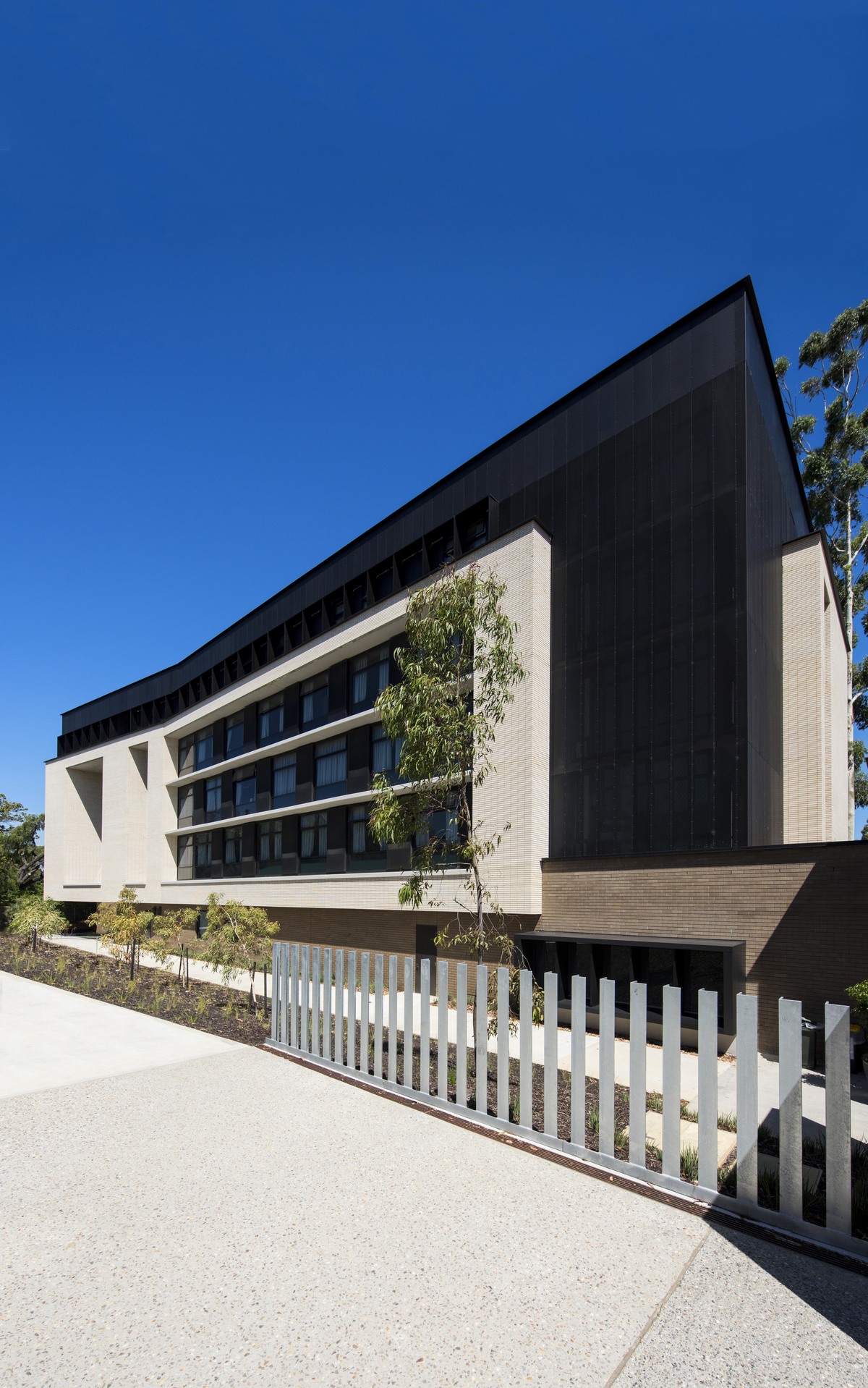 St Thomas More College | Design: COX | Image: Alison Paine | Builtworks.com.au