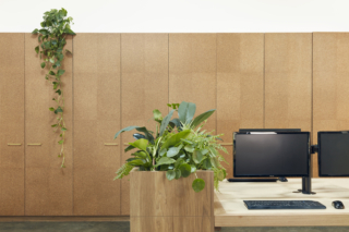 Royal Nut Company | Design: Breathe Architecture | Image: Tom Ross | Builtworks.com.au