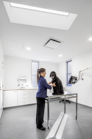 Walkerville Vet | Design: Khab Architects | Image: Aaron Citti Walkerville Vet | Design: Khab Architects | Image: Aaron Citti | Builtworks.com.au