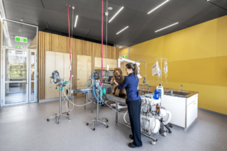 Walkerville Vet | Design: Khab Architects | Image: Aaron Citti Walkerville Vet | Design: Khab Architects | Image: Aaron Citti | Builtworks.com.au