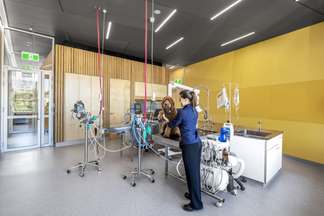 Walkerville Vet | Design: Khab Architects | Image: Aaron Citti Walkerville Vet | Design: Khab Architects | Image: Aaron Citti | Builtworks.com.au