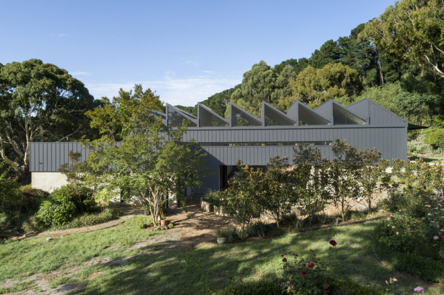 CLT House | Design: FMD Architects | Image: Dianna Snape | Builtworks.com.au