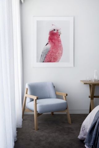Stokes Street Residence | Design: Adele Bates | Image: Chris Warnes | Builtworks.com.au