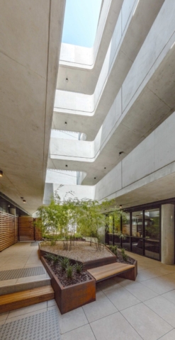 The Gallery Apartments | Design: Cox Architecture | Image: Ben Wrigley The Gallery Apartments | Design: Cox Architecture | Image: Ben Wrigley | Builtworks.com.au