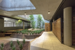 The Gallery Apartments | Design: Cox Architecture | Image: Ben Wrigley | Builtworks.com.au