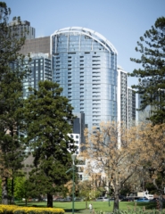 The Conservatory | Design: Cox Architecture | Image: Tommy Miller | Builtworks.com.au