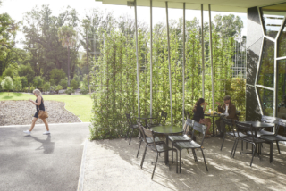 Fitzroy Gardens Redevelopment | Design: City of Melbourne's City Design Studio Fitzroy Gardens Redevelopment | Design: City of Melbourne's City Design Studio | Image: Nils Koenning