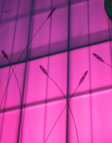 Roselea Shopping Centre | Design: Hames Sharley | Image: Reuben Black Roselea Shopping Centre | Design: Hames Sharley | Image: Reuben Black | Builtworks.com.au