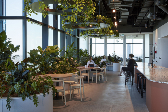 Transurban George | Design: Cox Architecture | Image: Christopher Frederick Jones | Builtworks.com.au