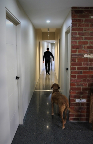 Ramsar Fields | Design: John McAuley Architecture | Image: Shara McAuley and Felix Mooneeram