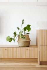 Melrose Terrace | Design: Dan Gayfer Design | Image: Dean Bradley Melrose Terrace | Design: Dan Gayfer Design | Image: Dean Bradley | Builtworks.com.au