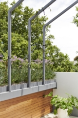 Melrose Terrace | Design: Dan Gayfer Design | Image: Dean Bradley Melrose Terrace | Design: Dan Gayfer Design | Image: Dean Bradley | Builtworks.com.au