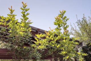 Oye Mi Canto House | Design: CplusC Architectural Workshop | Image: Murray Fredericks | Builtworks.com.au
