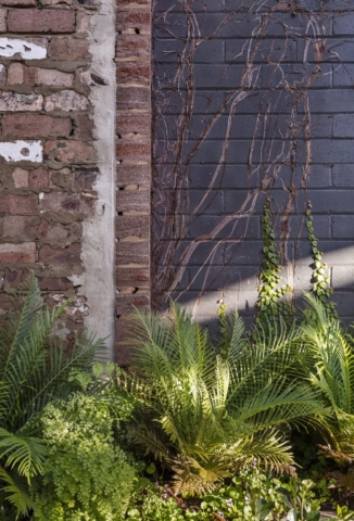 Oye Mi Canto House | Design: CplusC Architectural Workshop | Image: Murray Fredericks | Builtworks.com.au