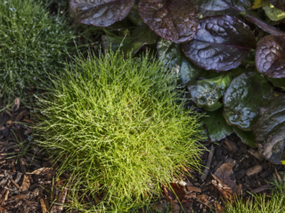 Oye Mi Canto House | Design: CplusC Architectural Workshop | Image: Murray Fredericks | Builtworks.com.au