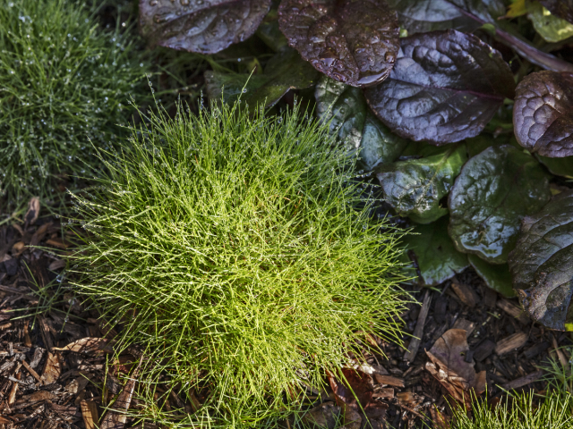 Oye Mi Canto House | Design: CplusC Architectural Workshop | Image: Murray Fredericks | Builtworks.com.au