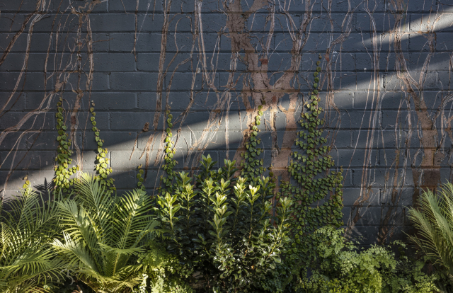 Oye Mi Canto House | Design: CplusC Architectural Workshop | Image: Murray Fredericks | Builtworks.com.au