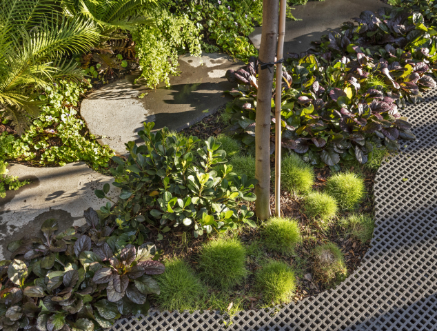 Oye Mi Canto House | Design: CplusC Architectural Workshop | Image: Murray Fredericks | Builtworks.com.au