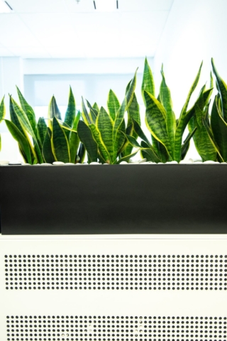 Robert Bird Group Office Fitout | Design: Hames Sharley | Image: Daniel Trimboli Robert Bird Group Office Fitout | Design: Hames Sharley | Image: Daniel Trimboli | Builtworks.com.au