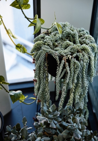 Pier Penthouse | Design: Molecule Studio | Image: Derek Swalwell | Builtworks.com.au