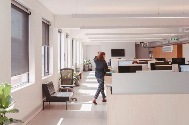 Faraday House | Design: Herbert & Mason | Image: Lucinda Mason | Builtworks.com.au