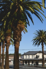 Town Hall Hotel | Design: Fabric Architecture | Image: Dominic Loneragan Town Hall Hotel | Design: Fabric Architecture | Image: Dominic Loneragan | Builtworks.com.au