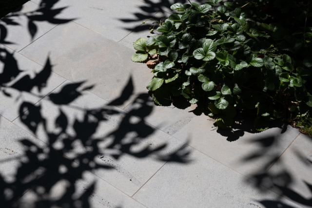 Prahran House | Design: Eliza Blair Architecture | Image: Veeral Patel Prahran House | Design: Eliza Blair Architecture | Image: Veeral Patel | Builtworks.com.au