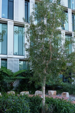 QUT Peter Coaldrake Education Precinct | Design: Henning Larsen and Wilson Architects | Image: Jeff Gardner | Builtworks.com.au