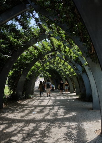 Grand Arbour | Design: Denton Corker Marshall | Image: Jeff Gardner | Builtworks.com.au