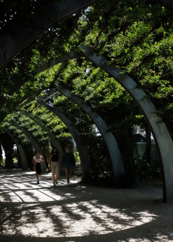 Grand Arbour | Design: Denton Corker Marshall | Image: Jeff Gardner | Builtworks.com.au