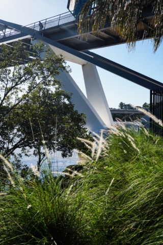 Goodwill Bridge | Design: COX | Image: Jeff Gardner | Builtworks.com.au