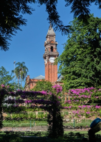 Grand Arbour | Design: Denton Corker Marshall | Image: Jeff Gardner | Builtworks.com.au
