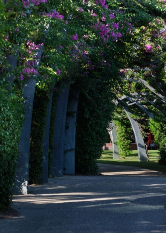 Grand Arbour | Design: Denton Corker Marshall | Image: Jeff Gardner | Builtworks.com.au