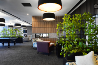 The Orchards | Design: CHT Architects | Image: Kane Jarrod | Builtworks.com.au