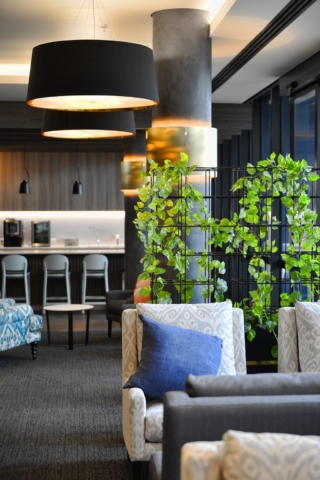 The Orchards | Design: CHT Architects | Image: Kane Jarrod | Builtworks.com.au