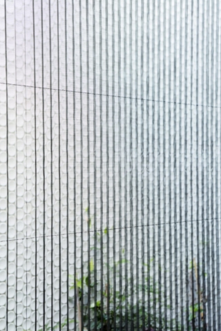 Pared Back House | Design: Still Space Architecture | Image: Brett Boardman | Builtworks.com.au