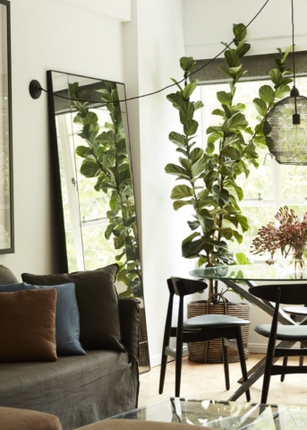 Potts Point Apartment | Interior Design: Brooke Aitken Design | Image: Prue Ruscoe | Builtworks.com.au