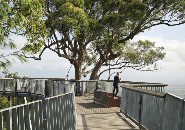 Mt Archer Treetop Boardwalk | Design: Design+Architecture | Image: Scott Burrows | Builtworks.com.au