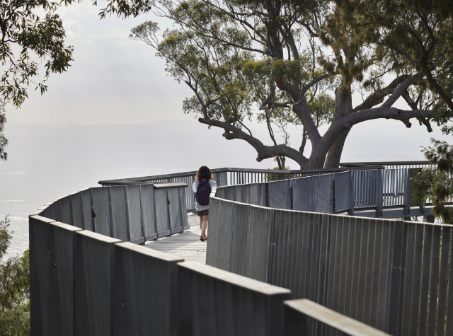 Mt Archer Treetop Boardwalk | Design: Design+Architecture | Image: Scott Burrows | Builtworks.com.au