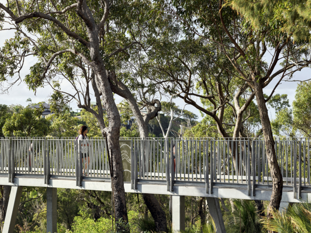 Mt Archer Treetop Boardwalk | Design: Design+Architecture | Image: Scott Burrows | Builtworks.com.au