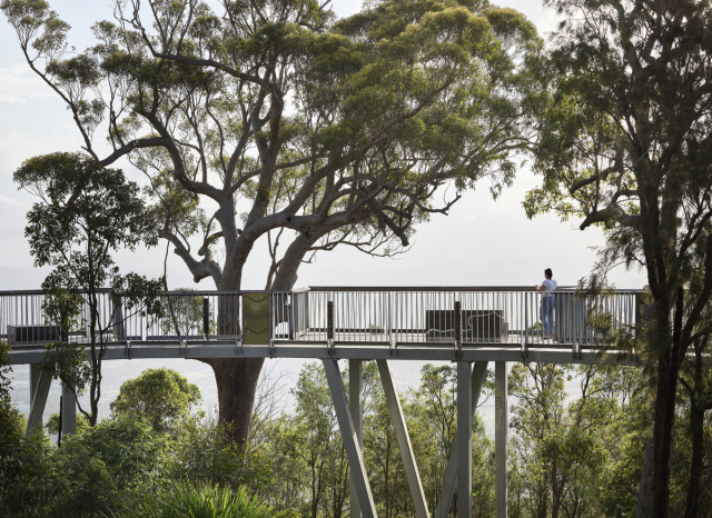 Mt Archer Treetop Boardwalk | Design: Design+Architecture | Image: Scott Burrows | Builtworks.com.au