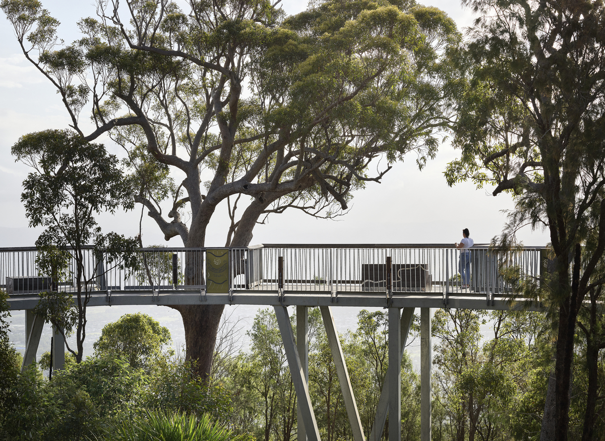 Mt Archer Treetop Boardwalk