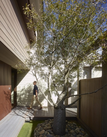 Sea Deck | Design: Tim Ditchfield Architects | Image: Scott Burrows | Builtworks.com.au