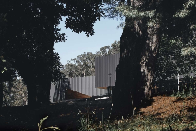 Puffing Billy Visitor Centre | Design: Terroir | Image: Peter Bennetts | Builtworks.com.au